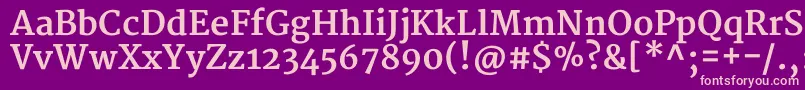 MerriweatherBold-Schriftart – Rosa Schriften auf violettem Hintergrund