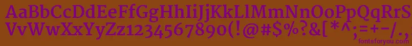 MerriweatherBold-fontti – violetit fontit ruskealla taustalla