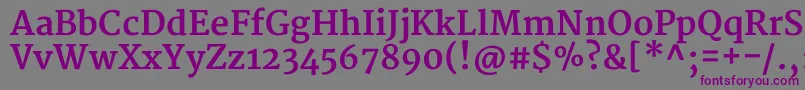 MerriweatherBold Font – Purple Fonts on Gray Background