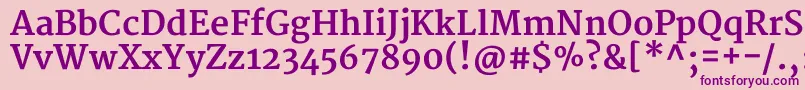 MerriweatherBold-fontti – violetit fontit vaaleanpunaisella taustalla
