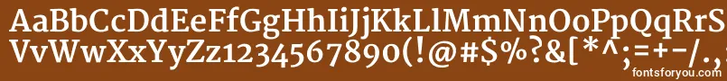 Шрифт MerriweatherBold – белые шрифты на коричневом фоне