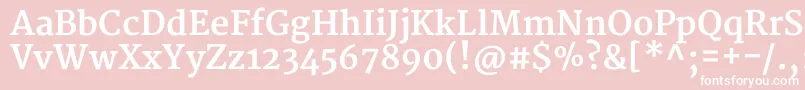 Шрифт MerriweatherBold – белые шрифты на розовом фоне