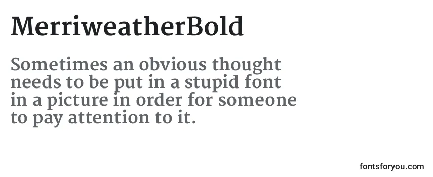 MerriweatherBold Font