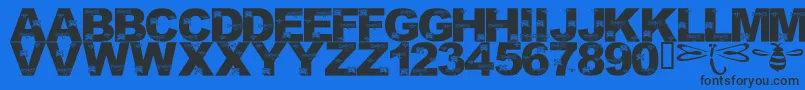 LmsFoundInCandicesGarden Font – Black Fonts on Blue Background