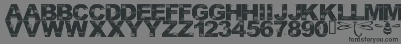 フォントLmsFoundInCandicesGarden – 黒い文字の灰色の背景