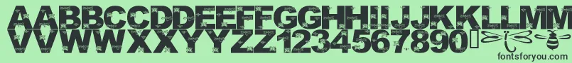 LmsFoundInCandicesGarden Font – Black Fonts on Green Background