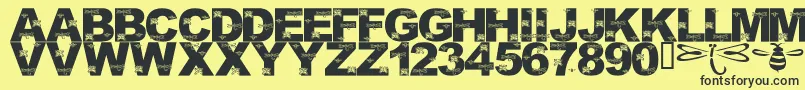 LmsFoundInCandicesGarden Font – Black Fonts on Yellow Background