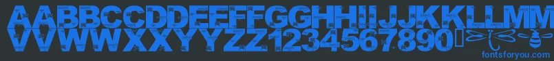 LmsFoundInCandicesGarden Font – Blue Fonts on Black Background