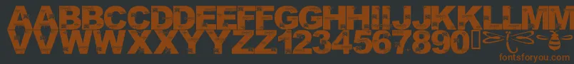 LmsFoundInCandicesGarden Font – Brown Fonts on Black Background