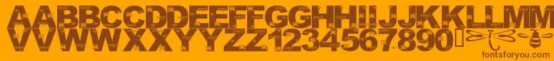 LmsFoundInCandicesGarden Font – Brown Fonts on Orange Background