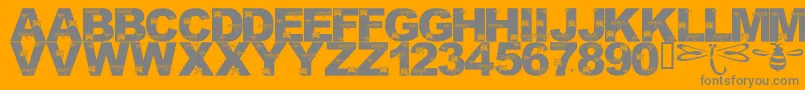 フォントLmsFoundInCandicesGarden – オレンジの背景に灰色の文字