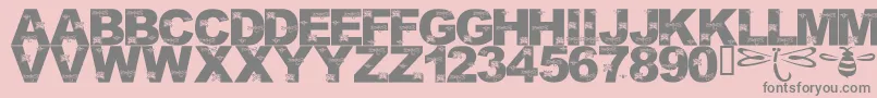 LmsFoundInCandicesGarden Font – Gray Fonts on Pink Background