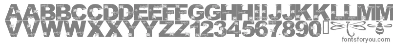 LmsFoundInCandicesGarden Font – Gray Fonts on White Background