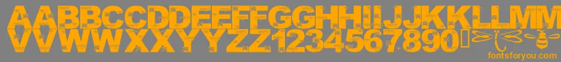 LmsFoundInCandicesGarden Font – Orange Fonts on Gray Background