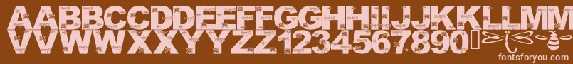LmsFoundInCandicesGarden Font – Pink Fonts on Brown Background
