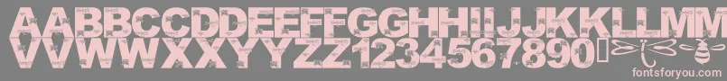 フォントLmsFoundInCandicesGarden – 灰色の背景にピンクのフォント