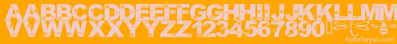 LmsFoundInCandicesGarden Font – Pink Fonts on Orange Background