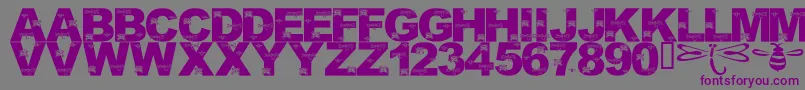 フォントLmsFoundInCandicesGarden – 紫色のフォント、灰色の背景