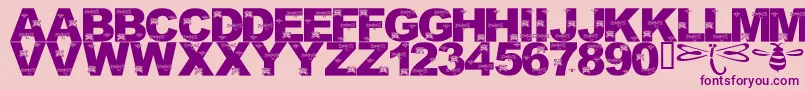 LmsFoundInCandicesGarden Font – Purple Fonts on Pink Background