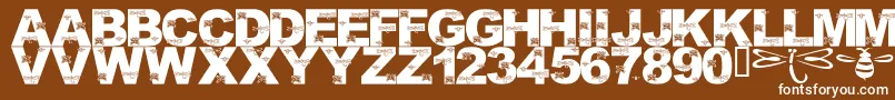 LmsFoundInCandicesGarden Font – White Fonts on Brown Background