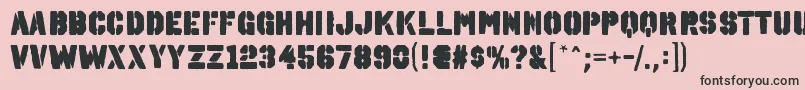 OctinspraypaintablRegular Font – Black Fonts on Pink Background