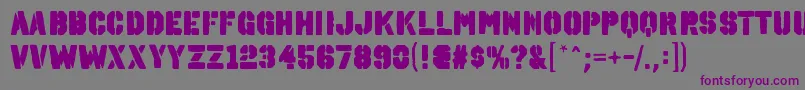 OctinspraypaintablRegular Font – Purple Fonts on Gray Background