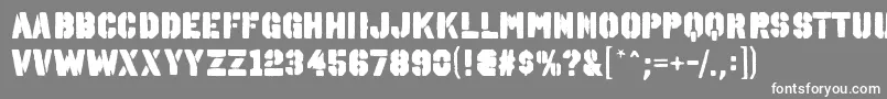 フォントOctinspraypaintablRegular – 灰色の背景に白い文字