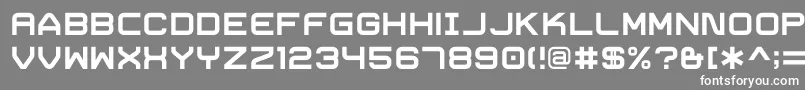 フォントTrivialBold – 灰色の背景に白い文字