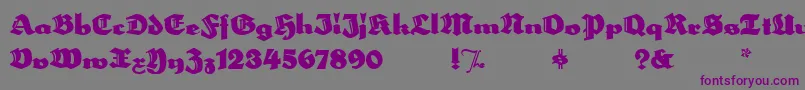 HerzogvongrafMeg Font – Purple Fonts on Gray Background