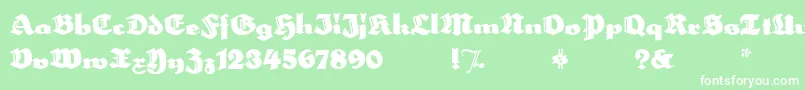 HerzogvongrafMeg Font – White Fonts on Green Background