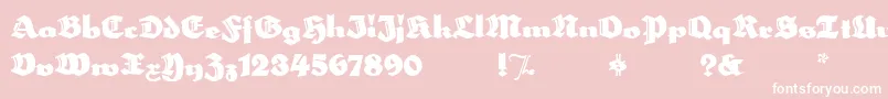 HerzogvongrafMeg Font – White Fonts on Pink Background