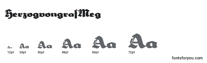 HerzogvongrafMeg Font Sizes