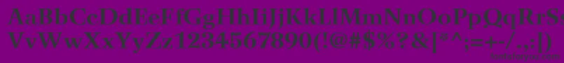 WilkeLt75Bold Font – Black Fonts on Purple Background