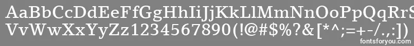 フォントLinoLetterLtMedium – 灰色の背景に白い文字