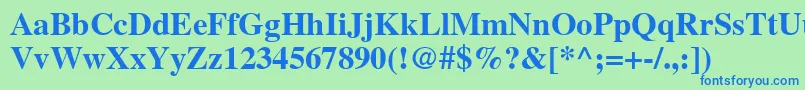 NttimesBold Font – Blue Fonts on Green Background