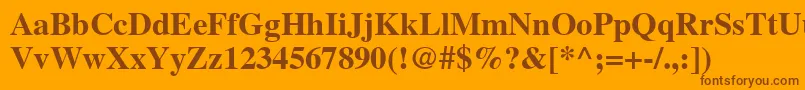 NttimesBold Font – Brown Fonts on Orange Background