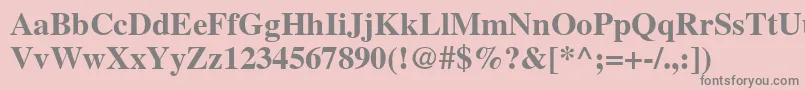 NttimesBold Font – Gray Fonts on Pink Background