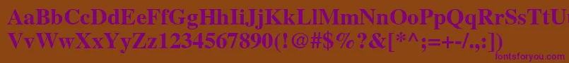 NttimesBold Font – Purple Fonts on Brown Background
