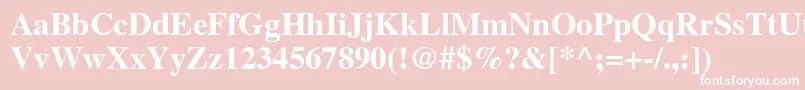 NttimesBold Font – White Fonts on Pink Background