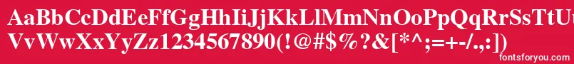 フォントNttimesBold – 赤い背景に白い文字