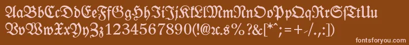 LeipzigFrakturBold Font – Pink Fonts on Brown Background