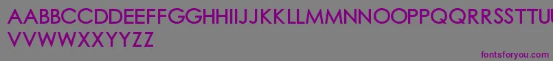 Шрифт Chubgothic1 – фиолетовые шрифты на сером фоне