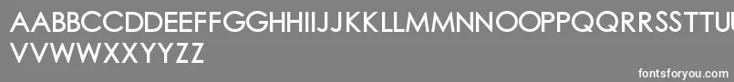 Шрифт Chubgothic1 – белые шрифты на сером фоне