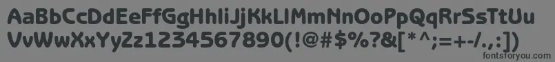 BenguiatgothicstdHeavy Font – Black Fonts on Gray Background