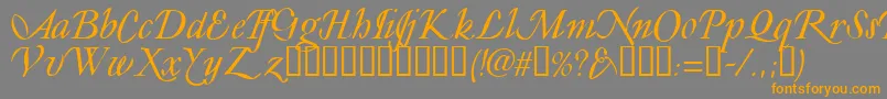 Ly Font – Orange Fonts on Gray Background