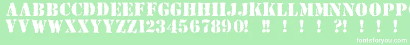 Due Font – White Fonts on Green Background