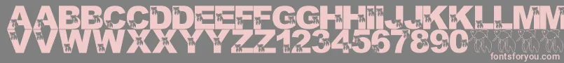 LmsMasterBetaMike Font – Pink Fonts on Gray Background