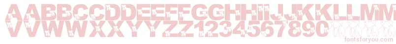 Fonte LmsMasterBetaMike – fontes rosa em um fundo branco