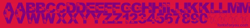 LmsMasterBetaMike Font – Purple Fonts on Red Background