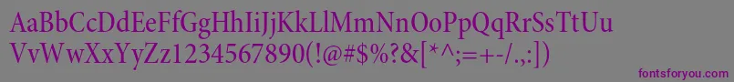 Шрифт MinionproMediumcnsubh – фиолетовые шрифты на сером фоне